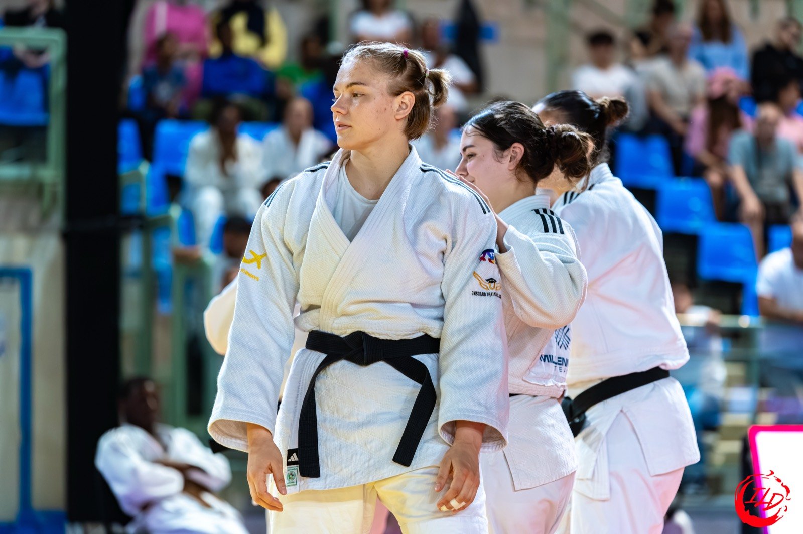 France par Équipes Juniors